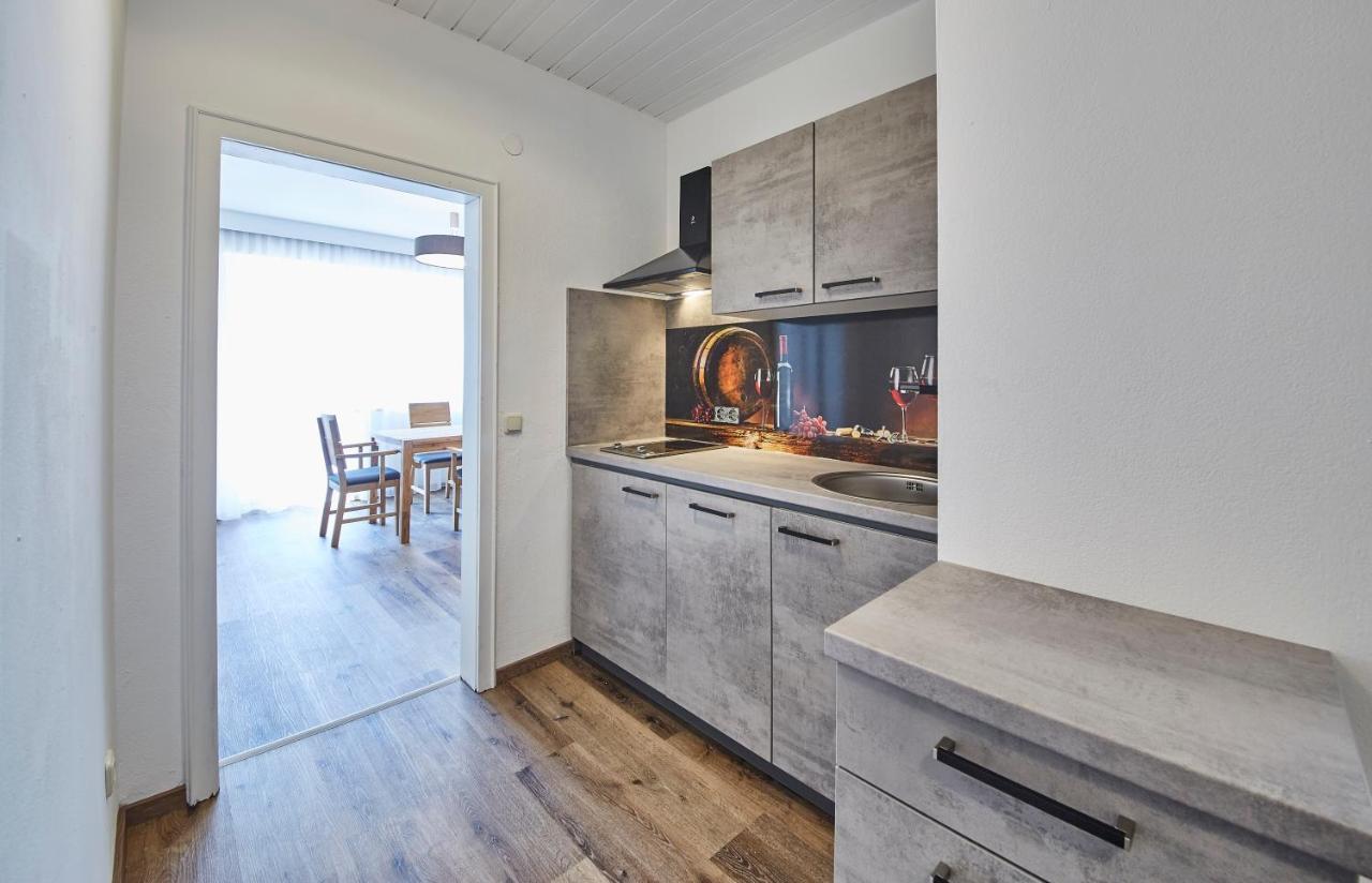 Appartements Haus Alexander Зальбах-Хинтерглемм Экстерьер фото
