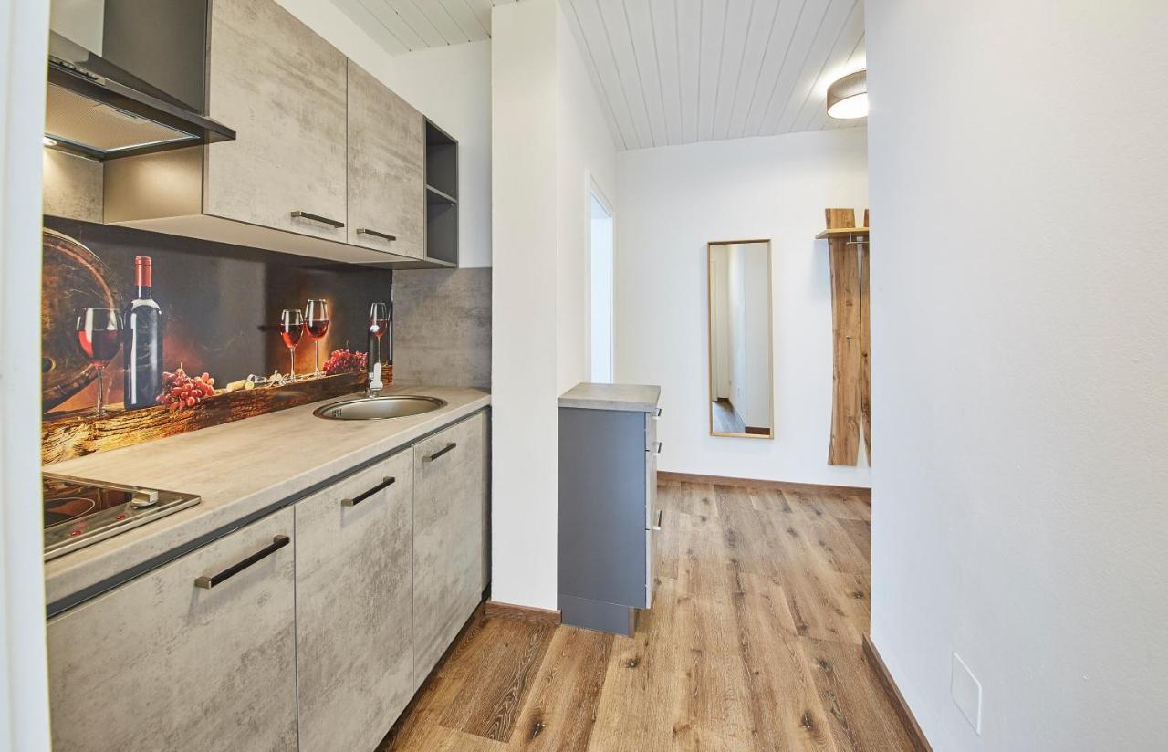 Appartements Haus Alexander Зальбах-Хинтерглемм Экстерьер фото
